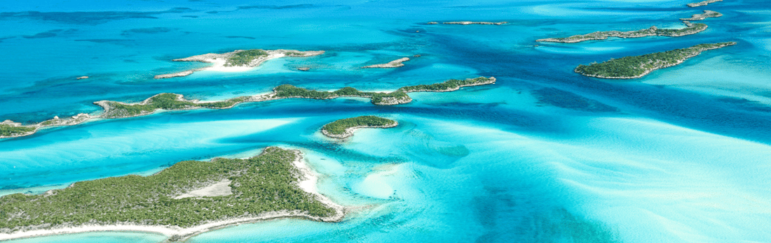 Top Menu Design Agencies in the Bahamas