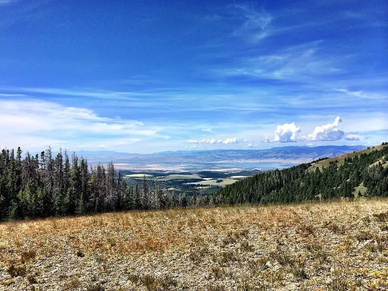 Top or Best Drawing and Illustration Agencies and Companies in Helena Valley West Central Montana