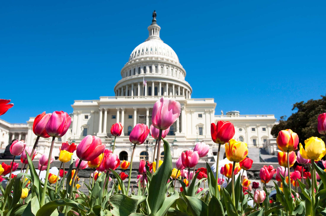 Top or Best Talent Management Agencies and Companies in the United States