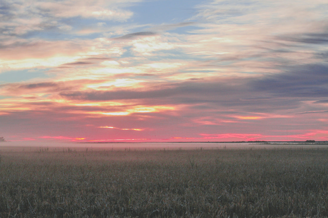 Top or Best App UI/UX Design Agencies and Companies in Topeka, Kansas