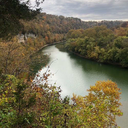 Top or Best YouTube Management Agencies and Companies in Lexington, Nebraska