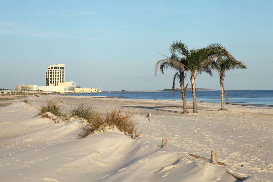 Top or Best Custom Graphics for Videos Agencies and Companies in Biloxi, Mississippi