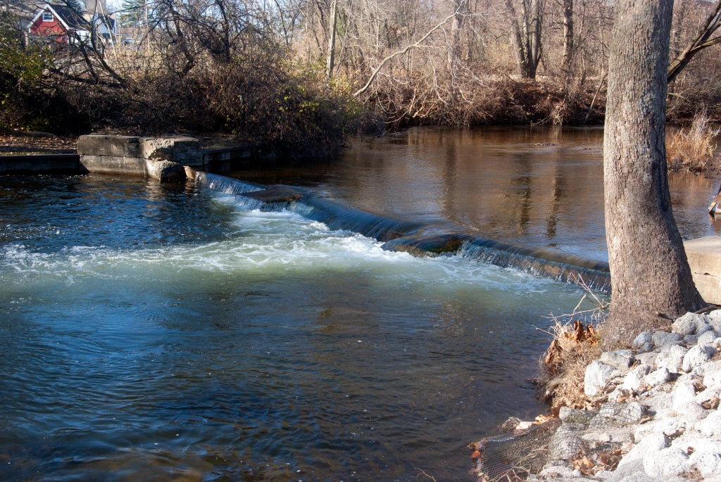 Top or Best Custom Graphics for Videos Agencies and Companies in Elkhart, Indiana