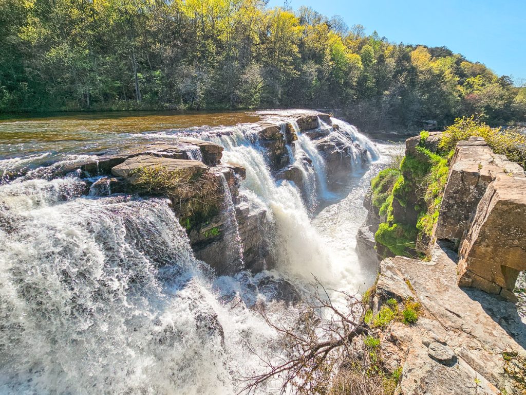 Top or Best Graphics for Streamers Agencies and Companies in Phenix City, Alabama