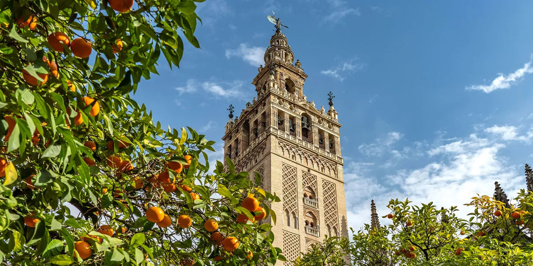 Top or Best Talent Management Agencies and Companies in Spain