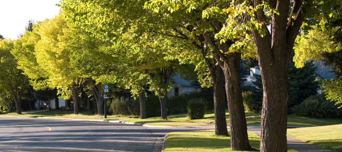 Top or Best Facebook Management Agencies and Companies in Midwest City, Oklahoma