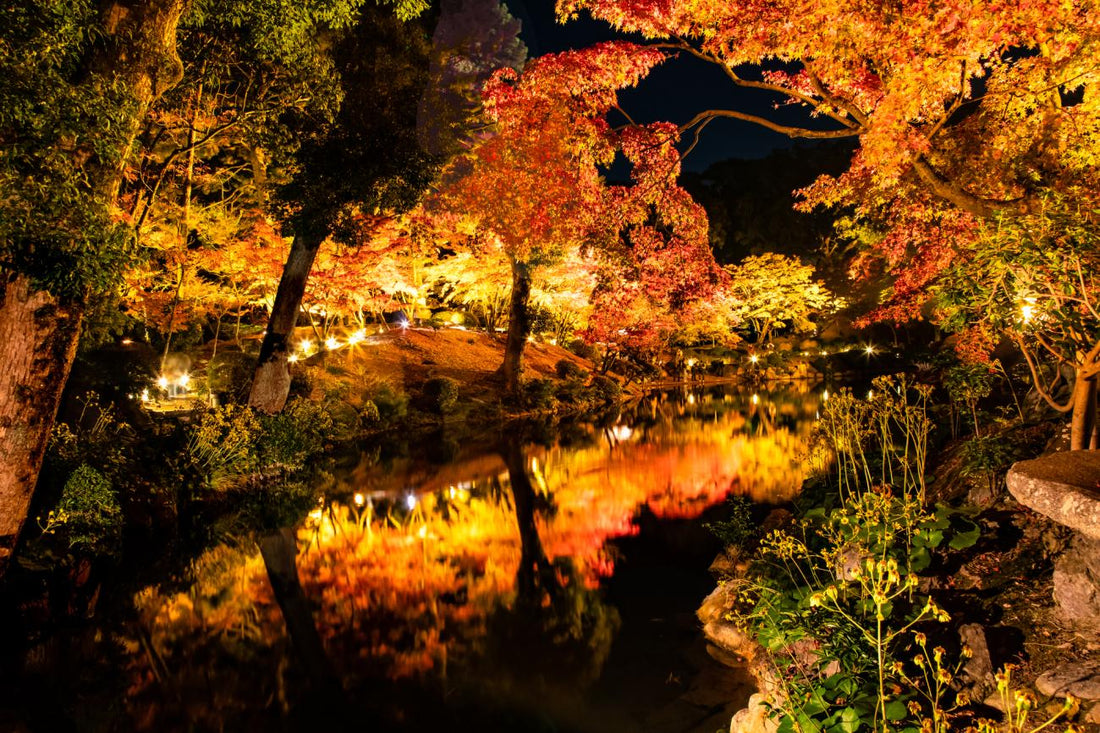 Top or Best Brand Collaboration Agencies and Companies in Hiroshima, Japan