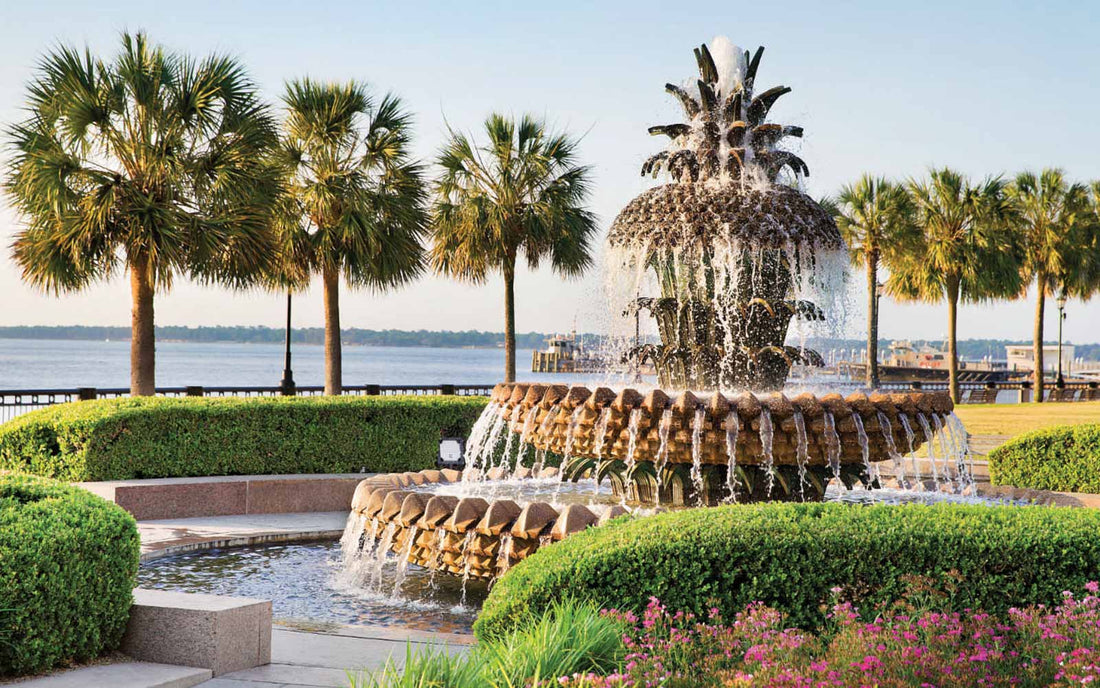 Top or Best Social Media Management Agencies and Companies in Charleston, South Carolina
