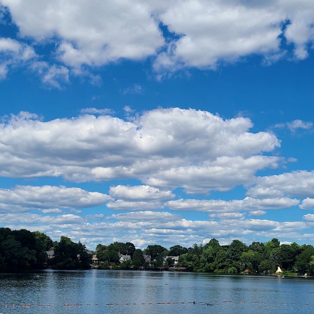 Top or Best Social Media Design Agencies and Companies in Brookline, Massachusetts