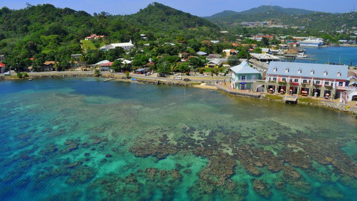 Top or Best Talent Management Agencies and Companies in Honduras