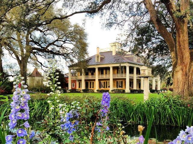 Top or Best Mural Design Agencies and Companies in Houma, Louisiana