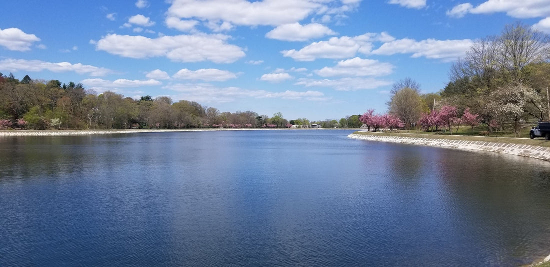 Top or Best Portraits & Caricatures Agencies and Companies in Brookline, Massachusetts