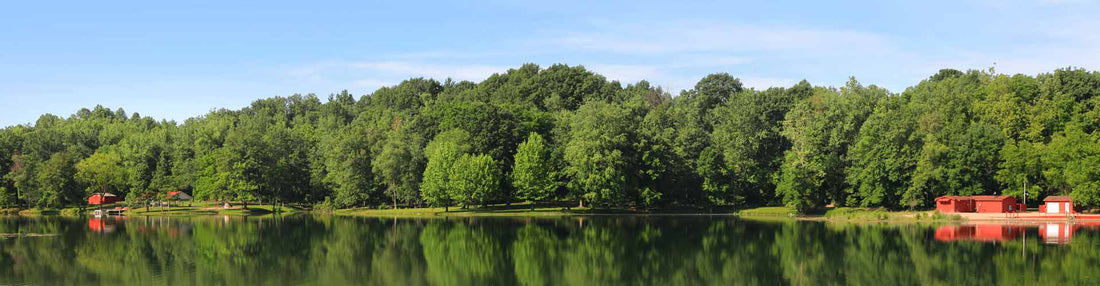 Top or Best Menu Design Agencies and Companies in Hammond, Indiana