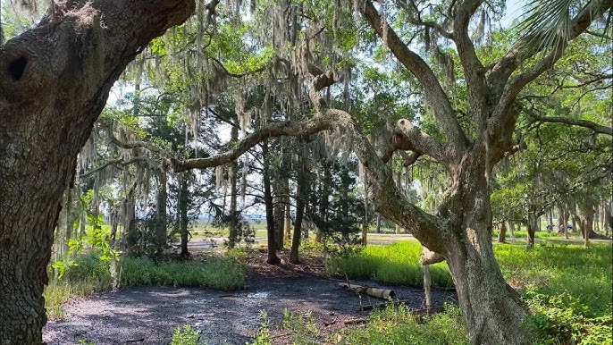 Top or Best Social Media Management Agencies and Companies in Bluffton, South Carolina