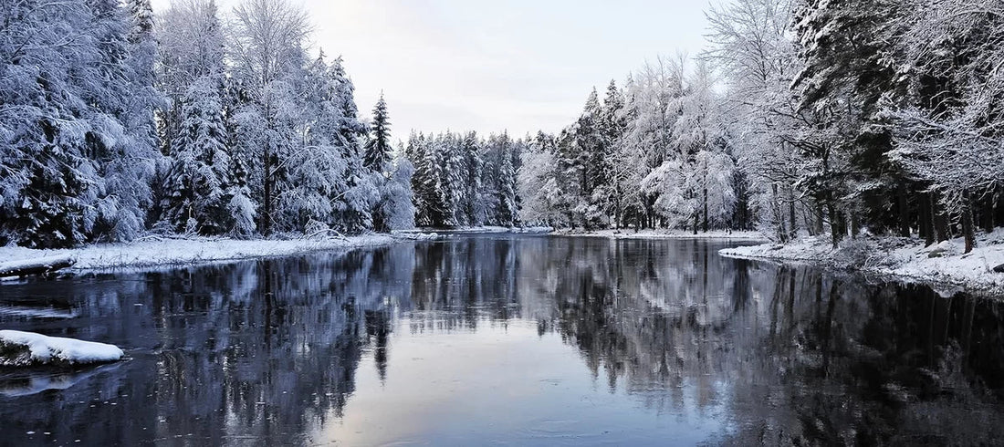 Top or Best Email Campaign Design Agencies and Companies in York, Nebraska