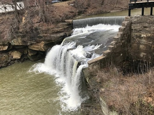 Top and Best Twitch Management Agencies and Companies in Elyria, Ohio