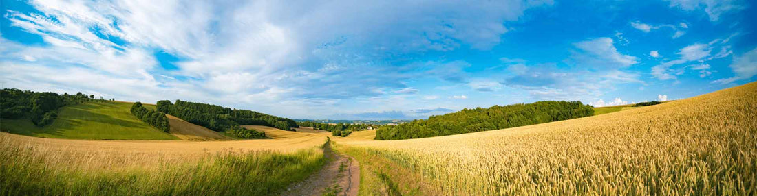 Top or Best Web & Mobile Design Agencies and Companies in Derby, Kansas