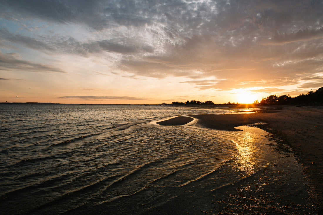 Top or Best Logo Animation Agencies and Companies in Brick, New Jersey