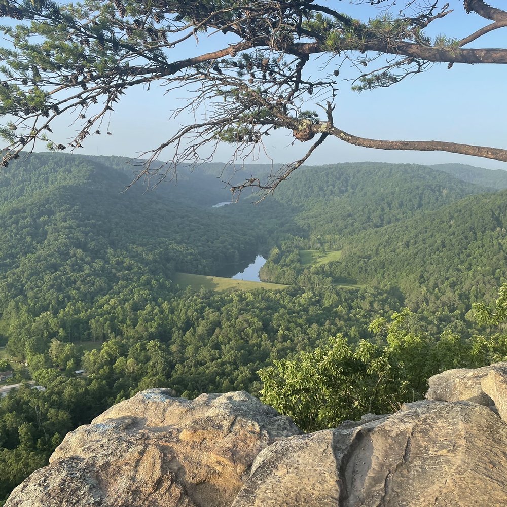 Top or Best Web & Mobile Design Agencies and Companies in Nicholasville, Kentucky