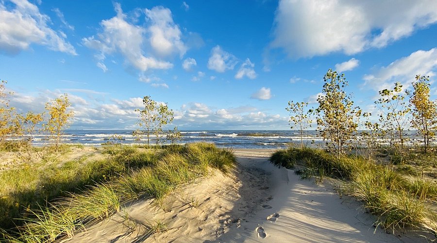 Top or Best Tattoo Design Agencies and Companies in Gary, Indiana