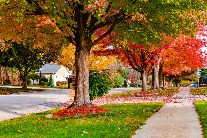 Top or Best X (Twitter) Management Agencies and Companies in Sandy, Utah