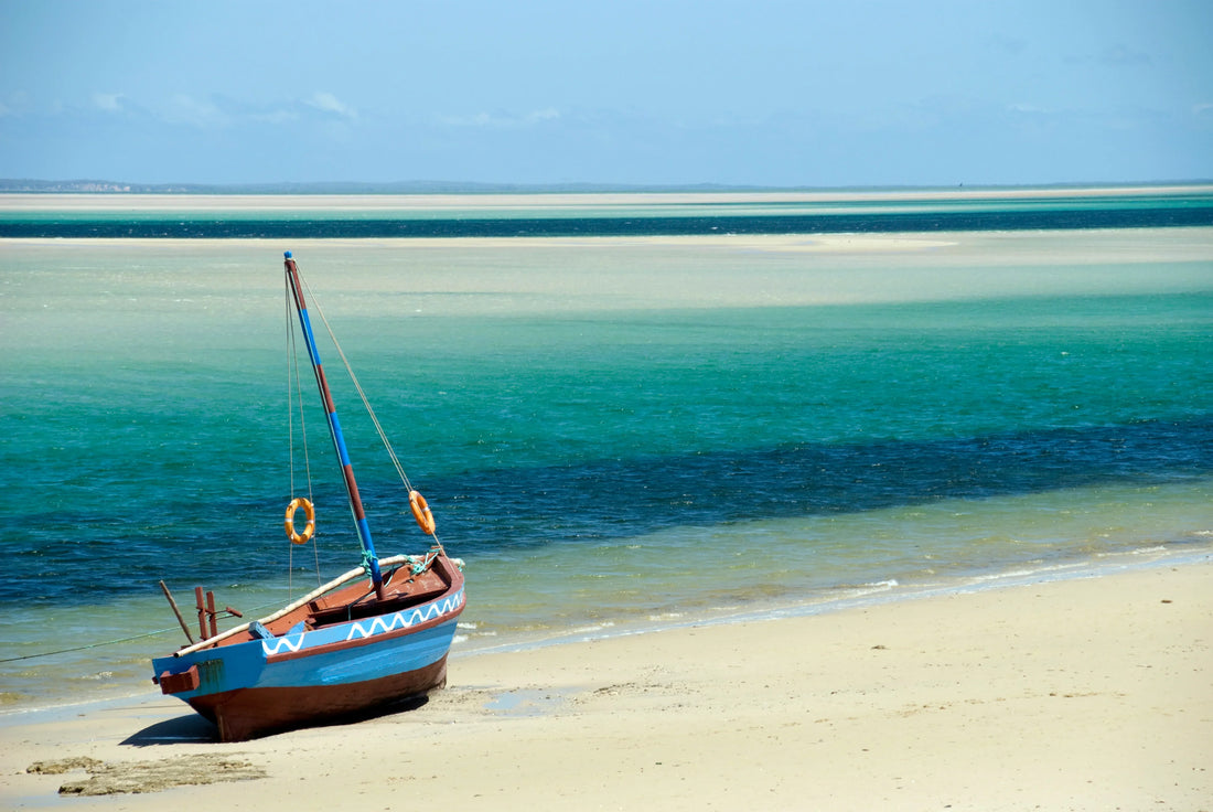 Top or Best Talent Management Agencies and Companies in Mozambique