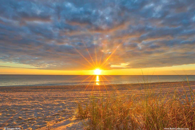 Top or Best Infographic Design Agencies and Companies in Sunrise, Florida