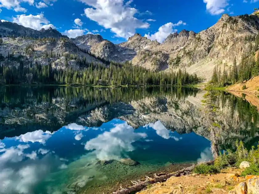 Best X (Twitter) Management Companies in Idaho