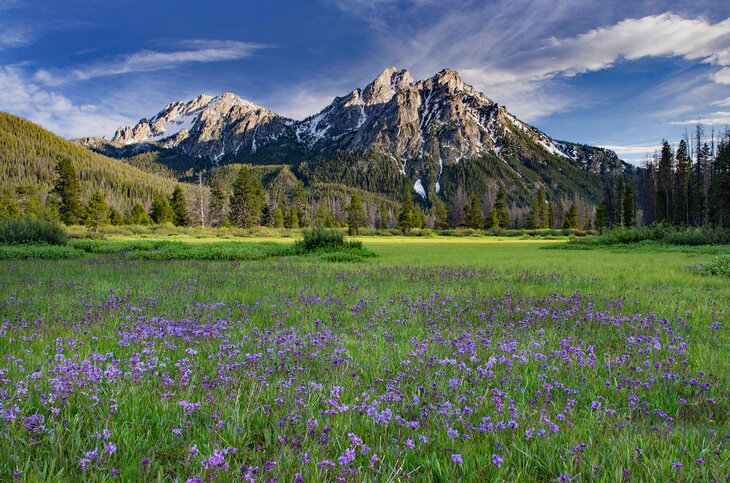 Best Twitch Management Companies in Idaho