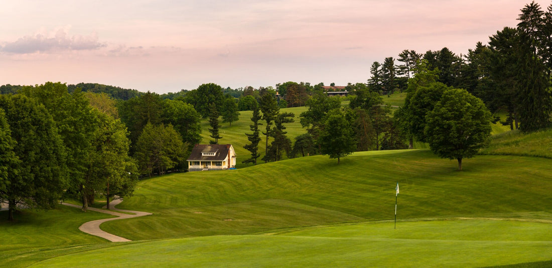 Top or Best Portraits and Caricatures Agencies and Companies in Wheeling, West Virginia