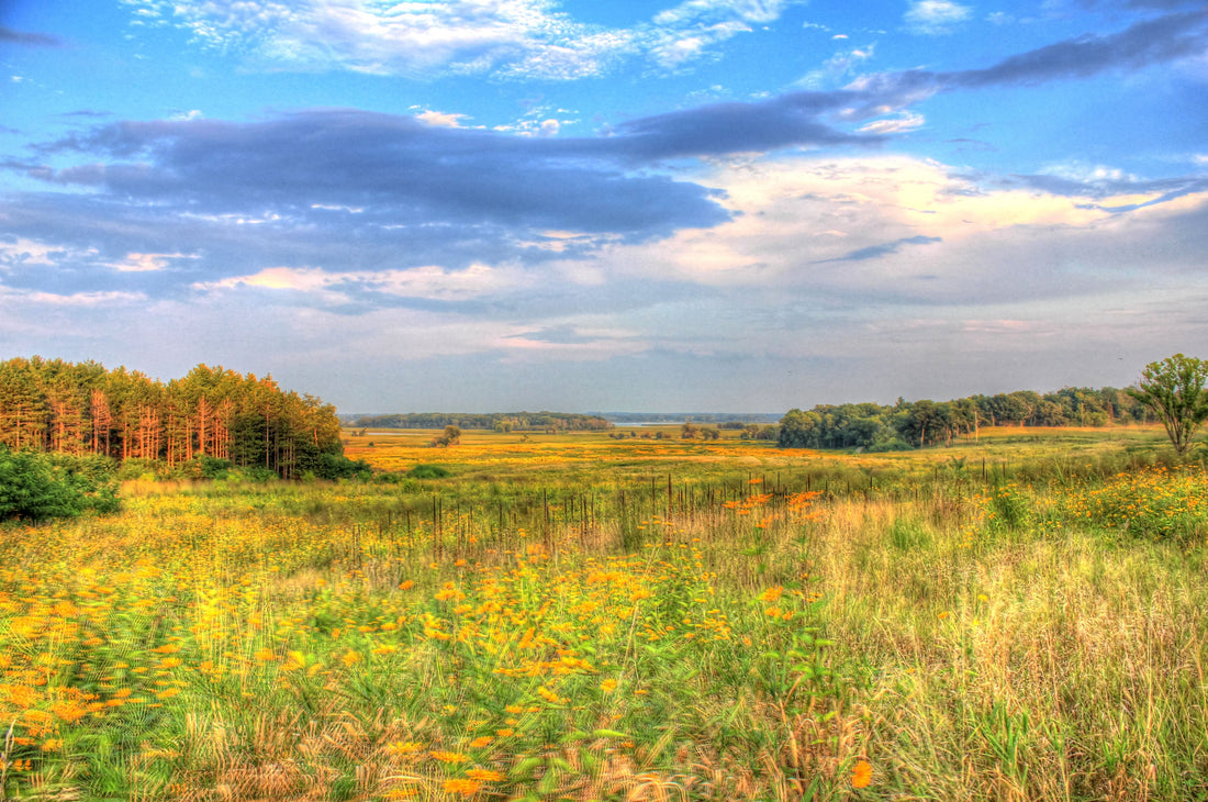 Top or Best Graphic Design Agencies and Companies in Bolingbrook, Illinois