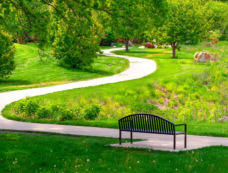 Top or Best TikTok Management Agencies and Companies in Schaumburg, Illinois
