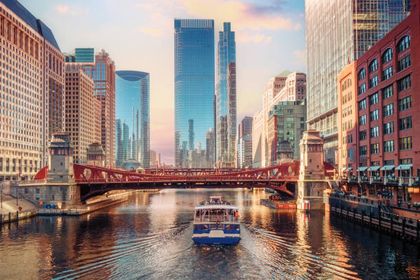 Top or Best Brand Identity Package Agencies and Companies in Illinois