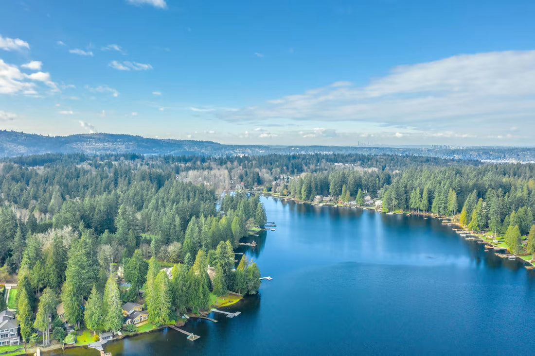 Top or Best Website Design Agencies and Companies in Sammamish, Washington