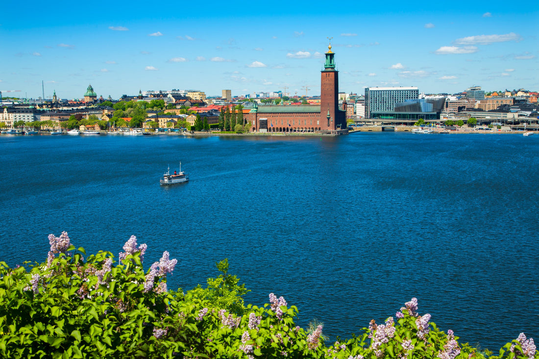 Top or Best Athlete Management Agencies and Companies in Sweden