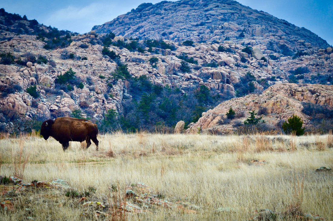 Top or Best Video Editing Agencies and Companies in Lawton, Oklahoma