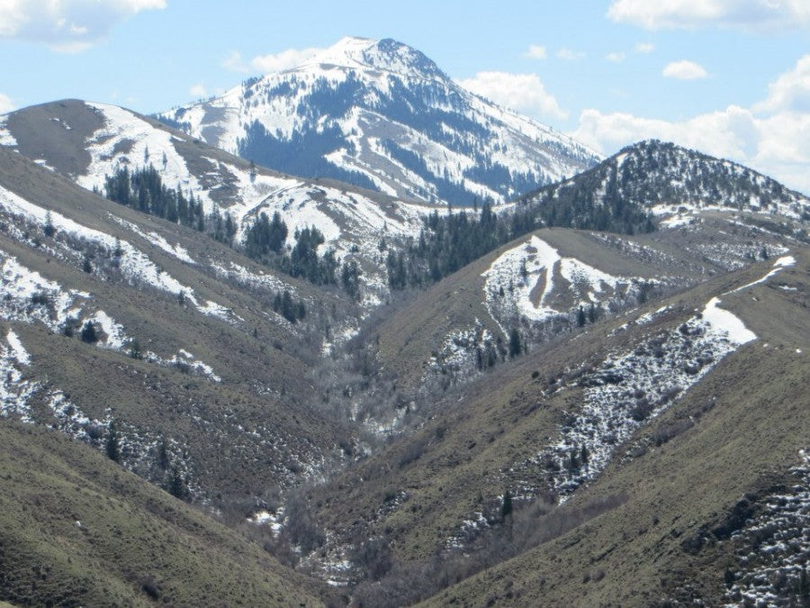 Top or Best Invitation Design Agencies and Companies in Pocatello, Idaho