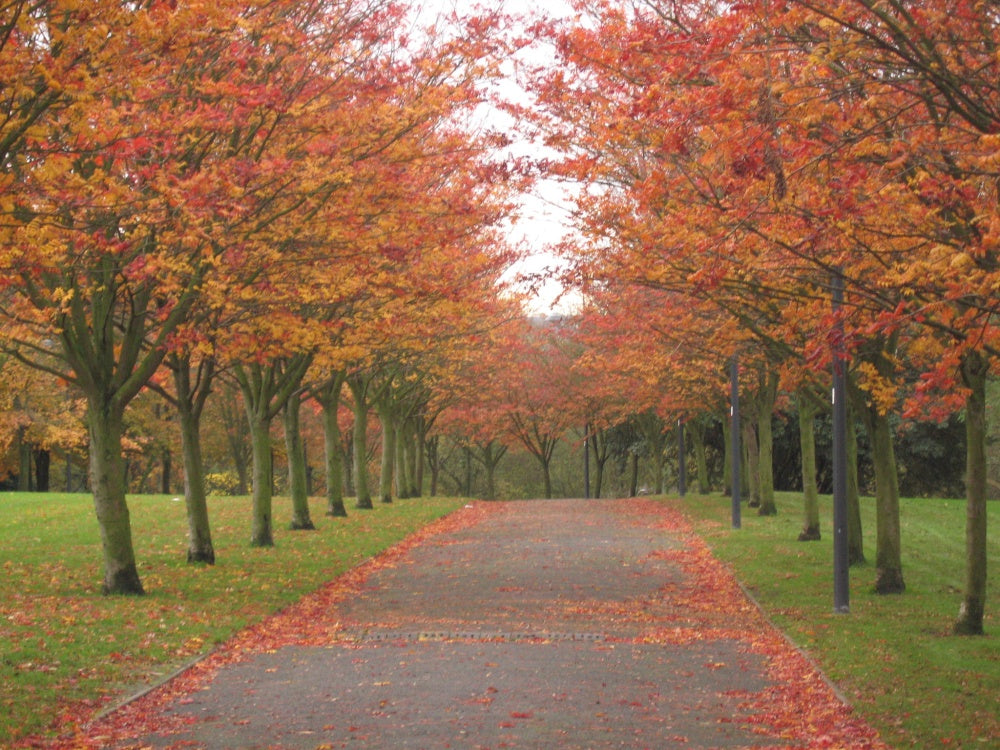 Top or Best Direct Mail Design Agencies and Companies in Stoke-on-Trent, England