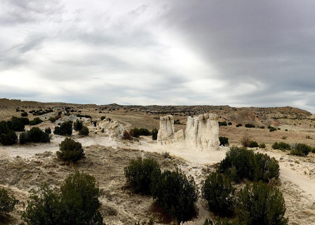 Top or Best Flyer Design Agencies and Companies in Portales, New Mexico