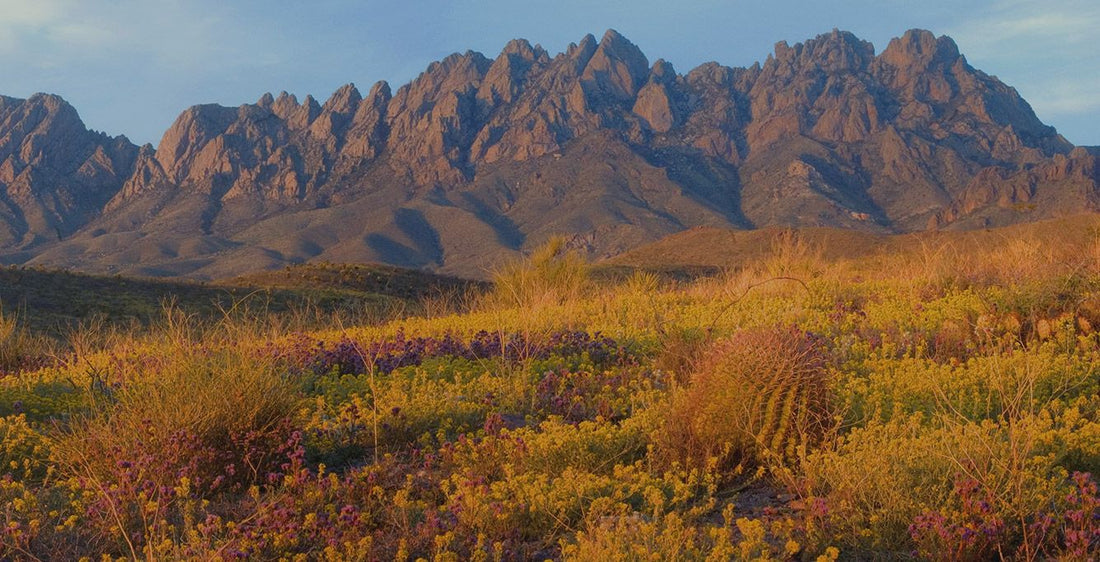 Top or Best Copywriting Agencies and Companies in Chaparral, New Mexico