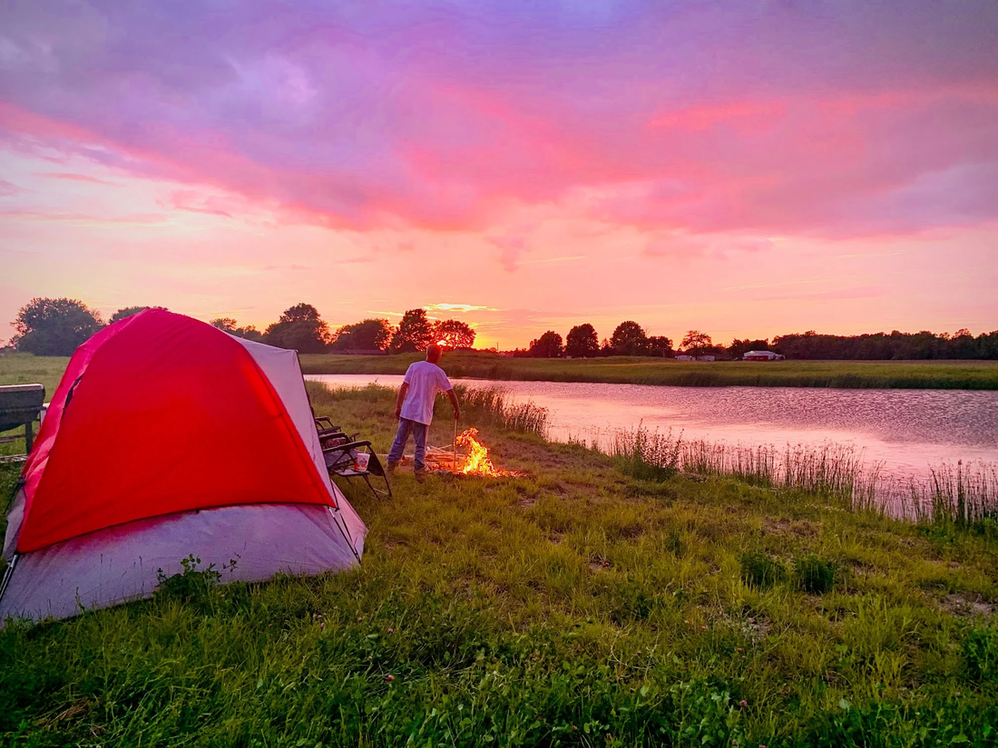 Top or Best NFT Art Agencies and Companies in Noblesville, Indiana