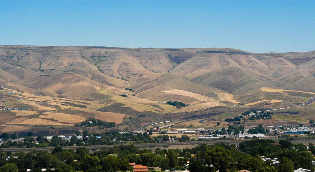 Top or Best Facebook Management Agencies and Companies in Lewiston, Idaho