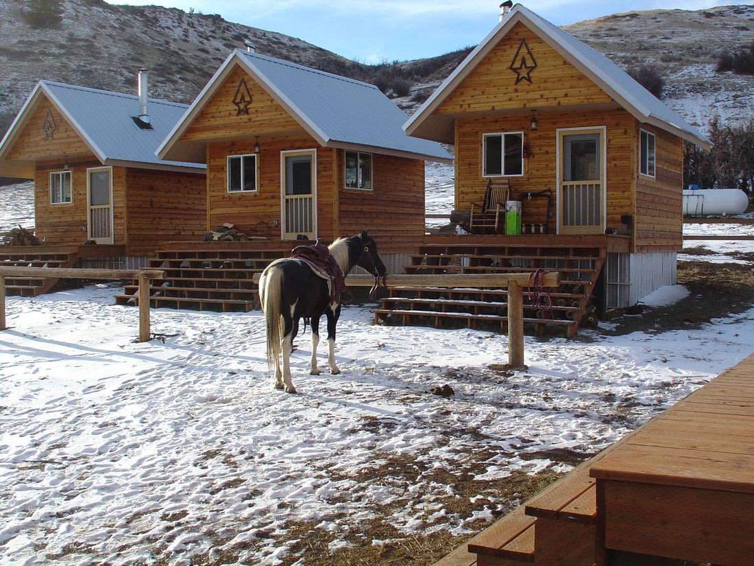 Top or Best Brochure Design Agencies and Companies in Douglas Wyoming