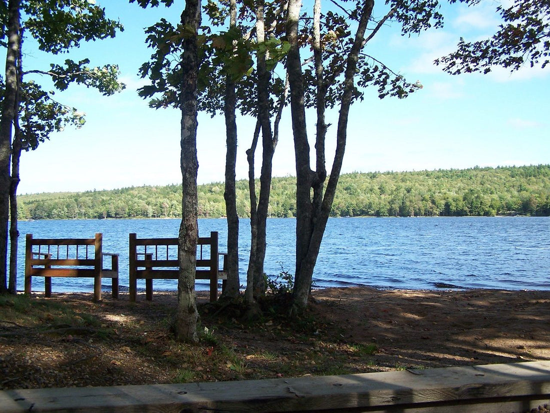 Top or Best App UI/UX Design Agencies and Companies in Wake Forest, North Carolina