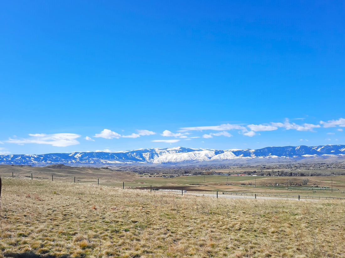 Top or Best Animation & Motion Graphics Agencies and Companies in Sheridan Wyoming