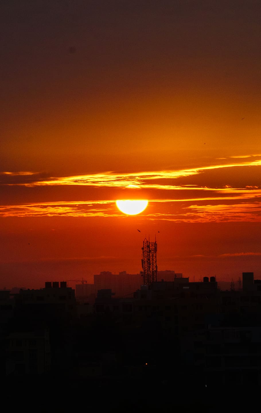 Top or Best Instagram Management Agencies and Companies in Bengaluru, India