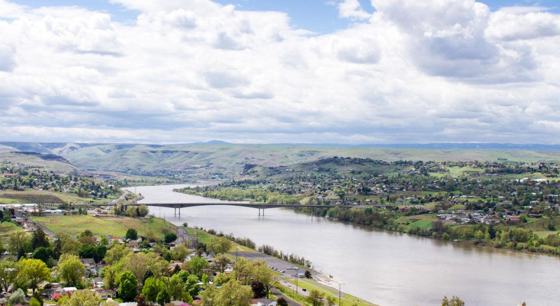 Top or best Brand Identity Packages Companies in Lewiston, Idaho