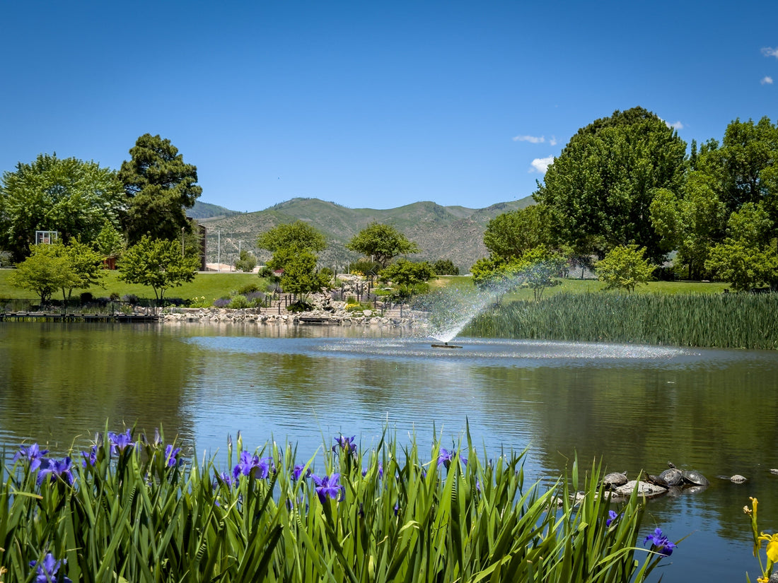 Top or Best Logo Design Agencies and Companies in Los Alamos, New Mexico