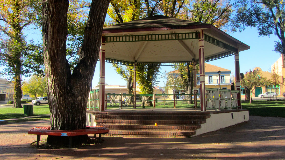 Top or Best Website Design Agencies and Companies in Las Vegas, New Mexico