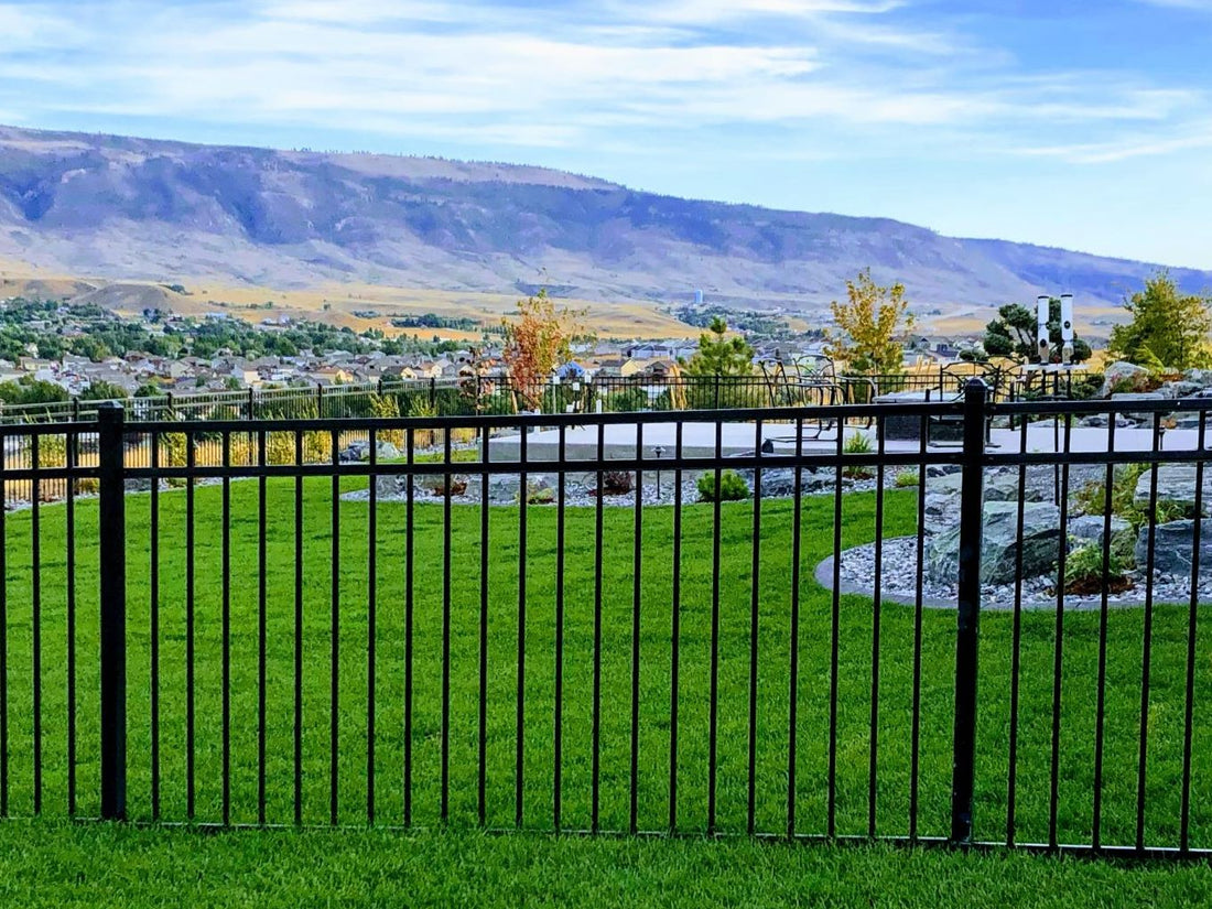 Top or Best Infographic Design Agencies and Companies in Rock Springs, Wyoming